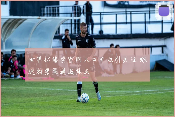 世界杯售票官网入口开放引关注 球迷购票渠道成焦点