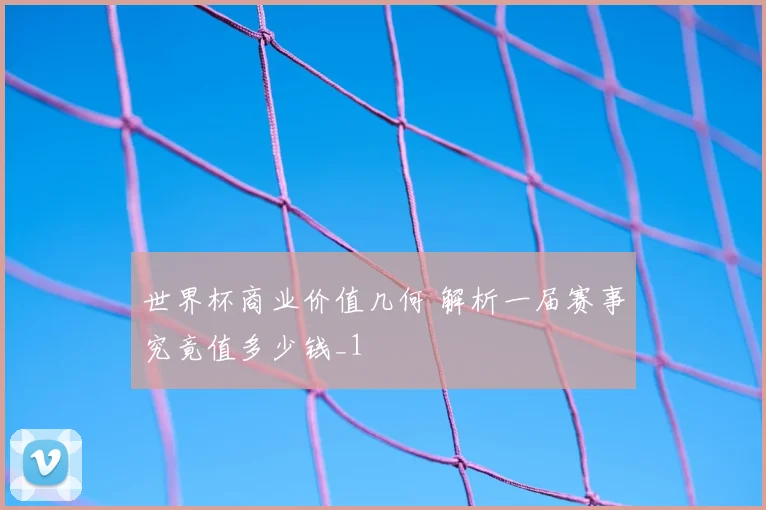 世界杯商业价值几何 解析一届赛事究竟值多少钱_1