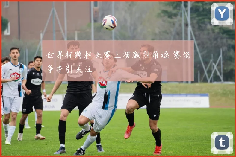 世界杯跨栏决赛上演激烈角逐 赛场争夺引关注