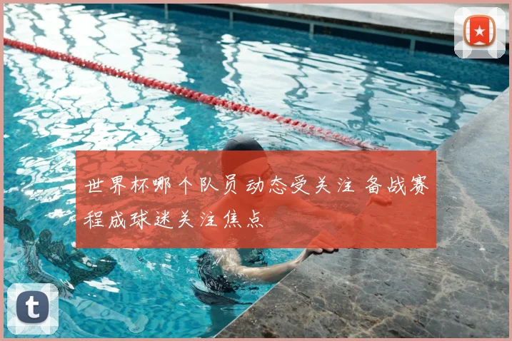 世界杯哪个队员动态受关注 备战赛程成球迷关注焦点