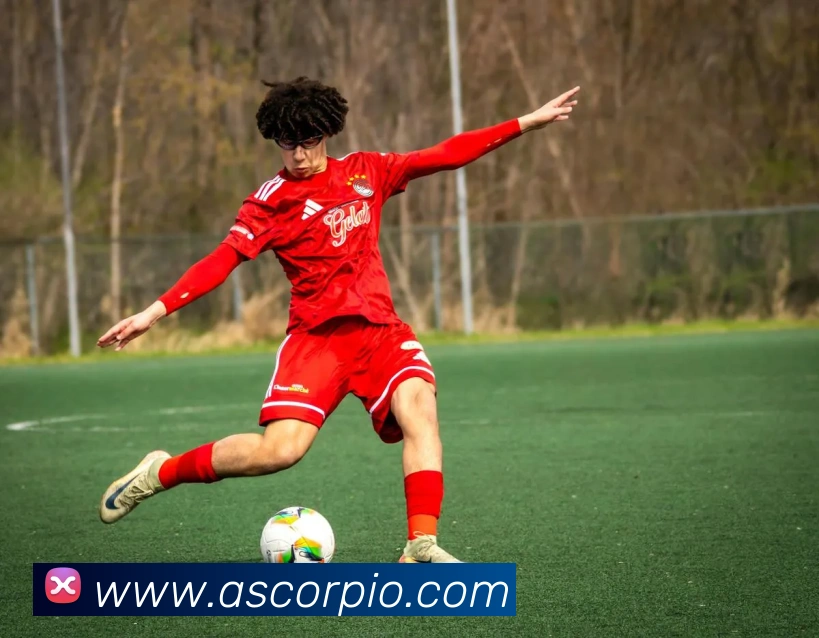 App Interface Preview