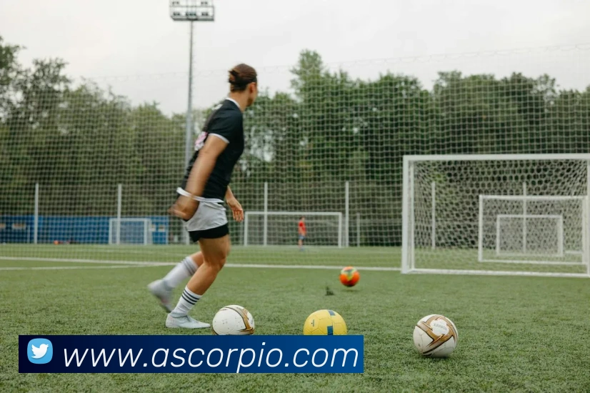 买球官方APP 封面图